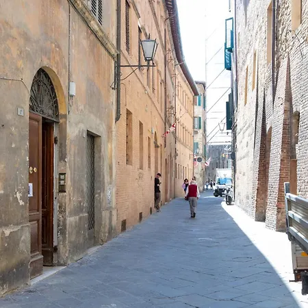 Vista Unica Con Parquet - Centro Siena